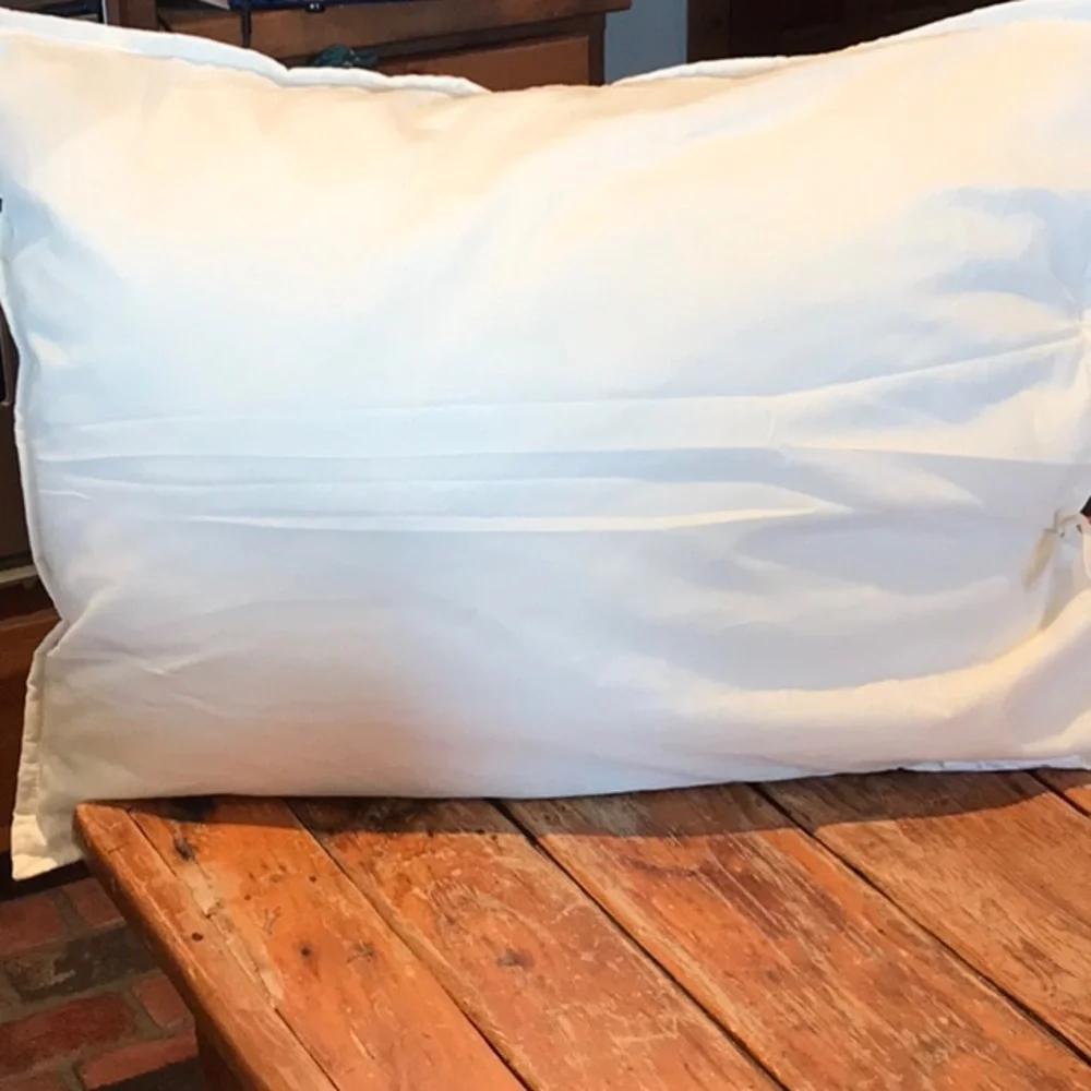 Threshold standard size pillow shams (2)